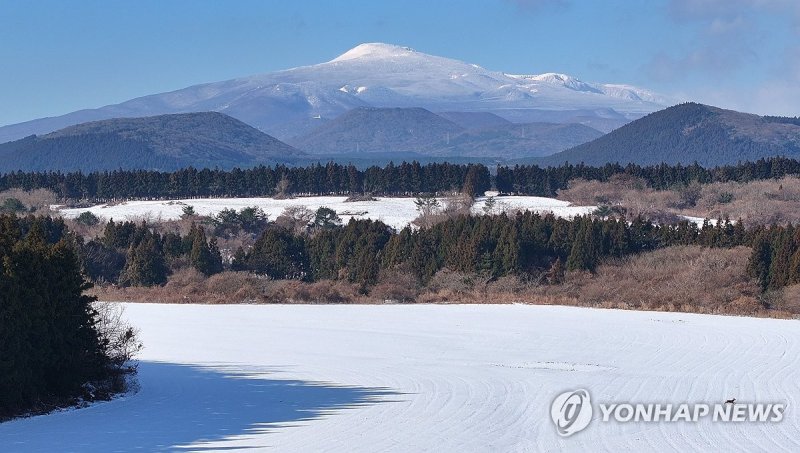 눈 덮인 제주 중산간 풍경 (출처=연합뉴스)