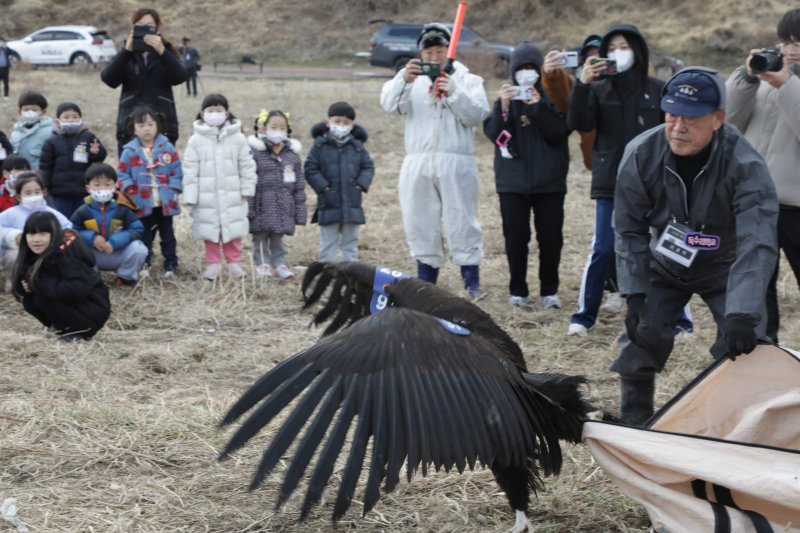 6일 오전 11시 울산 태화강 삼호섬 하중도에서 독수리 방사 행사가 개최돼 시민들이 구경하고 있다.2025.3.6/뉴스1 ⓒ News1 김세은 기자
