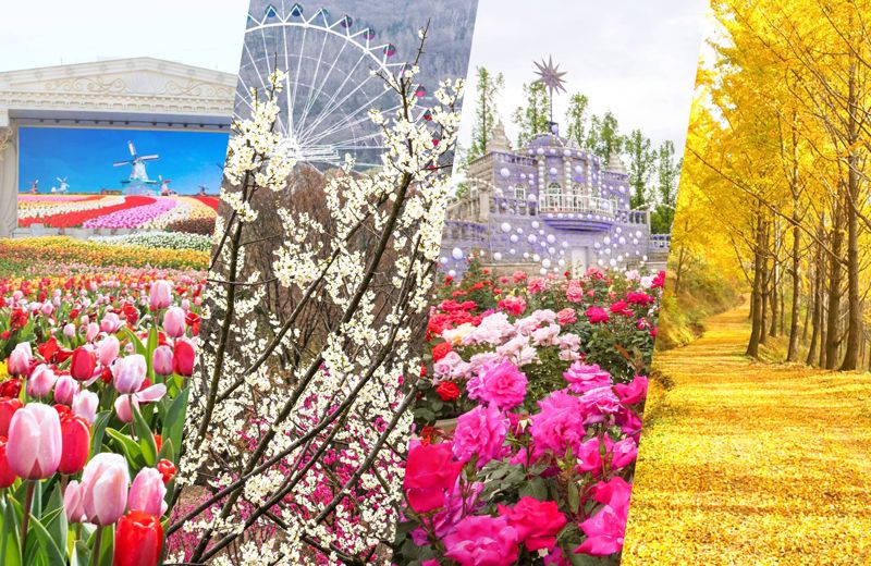 "대자연 속 힐링 경험 더 많은 사람들과 나누고 싶어"