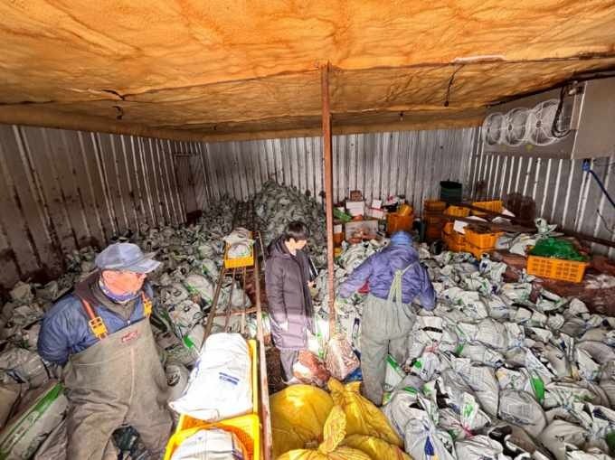 [여수=뉴시스] 6일 전남 여수시 한 가두리 양식장에서 어민들이 저수온 피해로 폐사한 양식 물고기를 수거해 보관 창고에 쌓고 있다. (사진=여수시 제공) 2025.03.04. photo@newsis.com *재판매 및 DB 금지