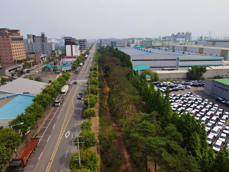 "호흡기 질환 주범 '미세먼지', 도시숲으로 잡는다"