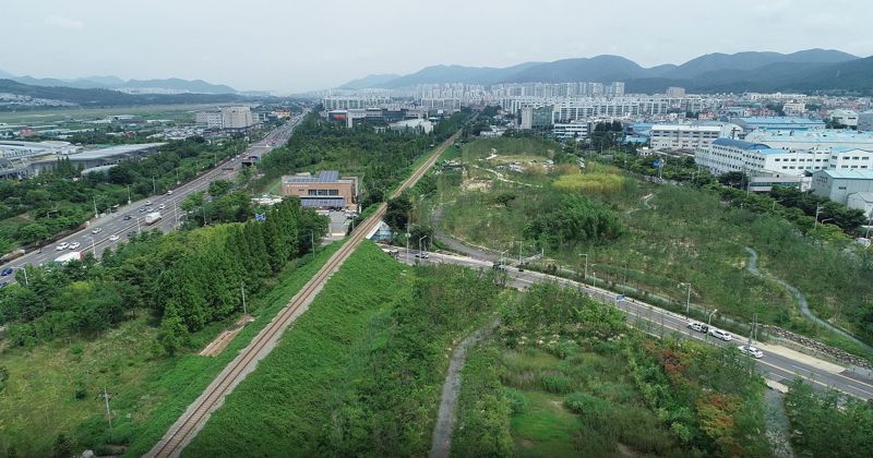 "호흡기 질환 주범 '미세먼지', 도시숲으로 잡는다"