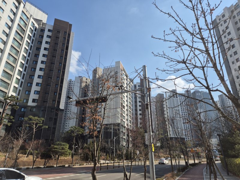 수도권 인기지역도 들썩… 과천 상승폭 강남구 육박