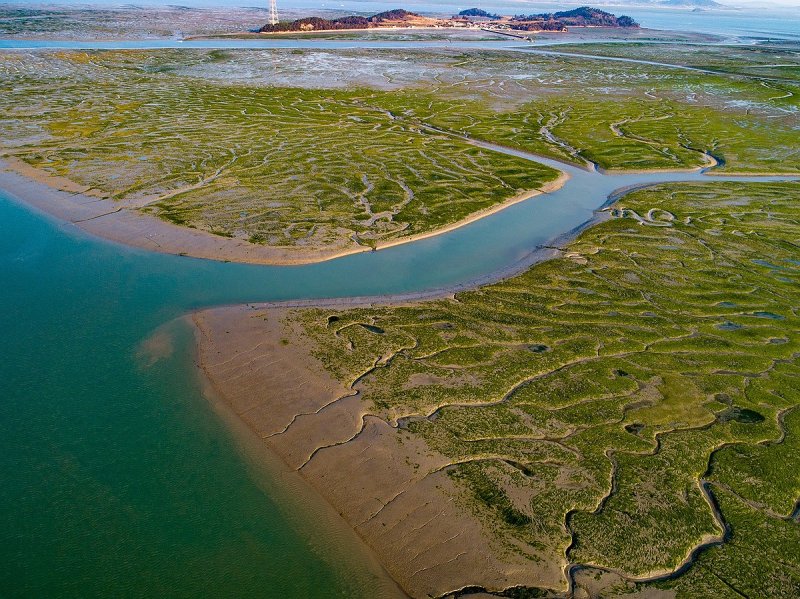 무안 갯벌 (출처=연합뉴스)