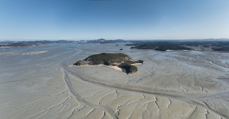 서산 갯벌 (출처=연합뉴스)