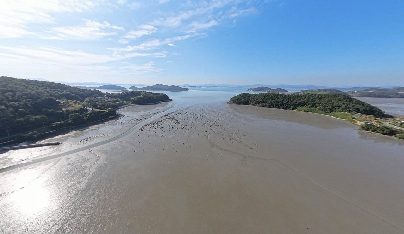 여수 갯벌 (출처=연합뉴스)