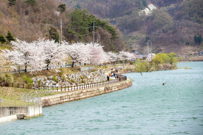 증평 삼기저수지 수변 산책로/뉴스1