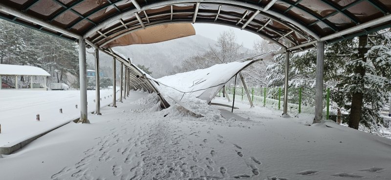 강원 태백시의 이달(3월) 초 폭설피해 현장 자료 사진. (태백시 제공. 재판매 및 DB금지) 2025.3.7/뉴스1