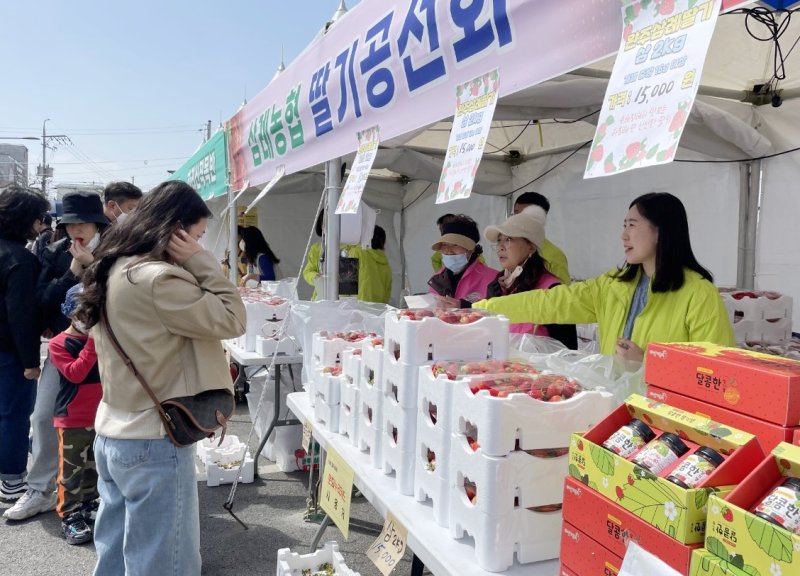 8일 전북자치도 완주군 토토 베이농협 공영주차장에서 열린 '삼례딸기축제'를 찾은 방문객들이 축제를 즐기고 있다. 제23회 '삼례딸기축제'는 9일까지 열린다.(재판매 및 DB금지)2025.3.8/뉴스1 ⓒ News1 강교현 기자