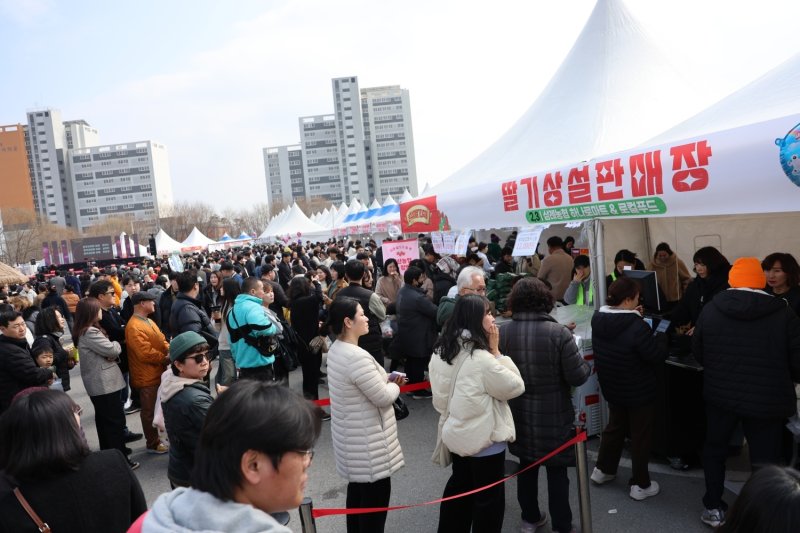 8일 전북자치도 완주군 토토 베이농협 공영주차장에서 열린 '삼례딸기축제'를 찾은 방문객들이 딸기 구매를 위해 대기하고 있다.(완주군 제공. 재판매 및 DB금지)2025.3.8/뉴스1