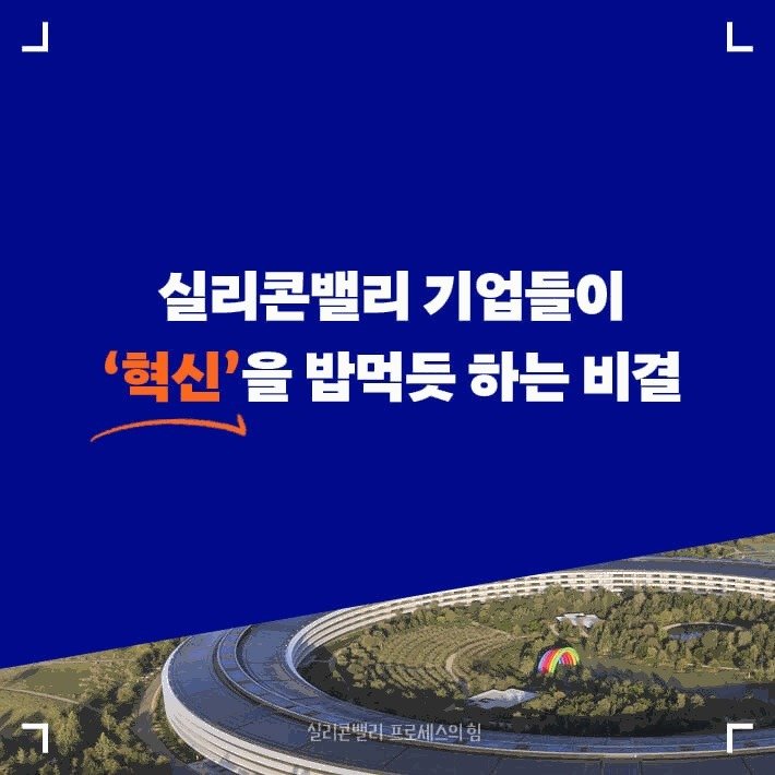 실리콘밸리 배트맨 토토의 힘