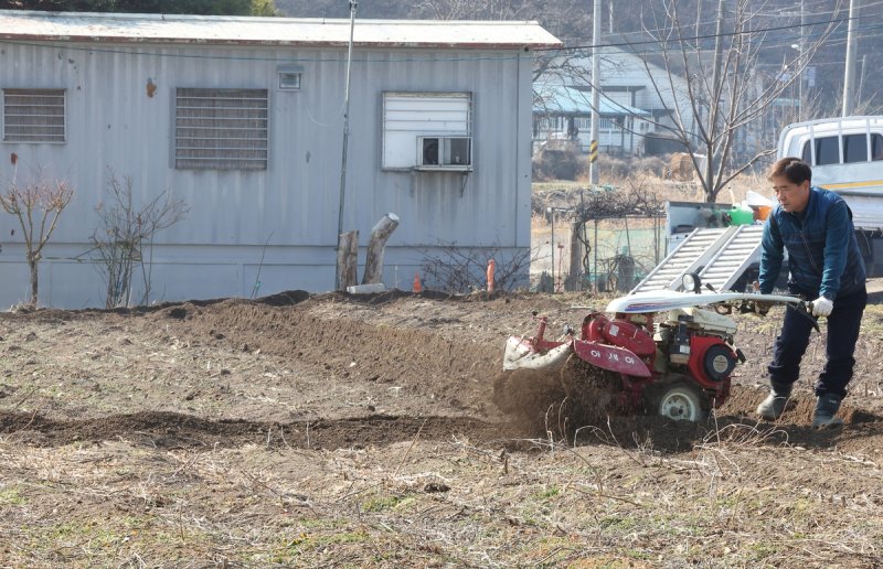 '감자 재배 준비' (출처=연합뉴스)