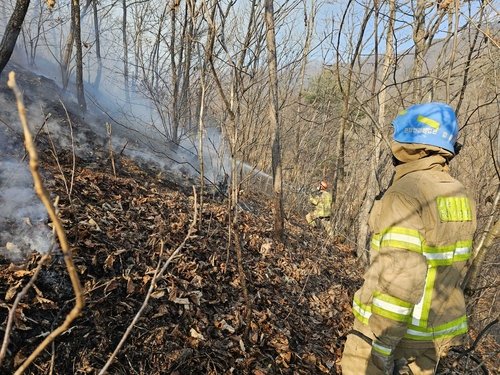 춘천 산불 현장 (출처=연합뉴스)
