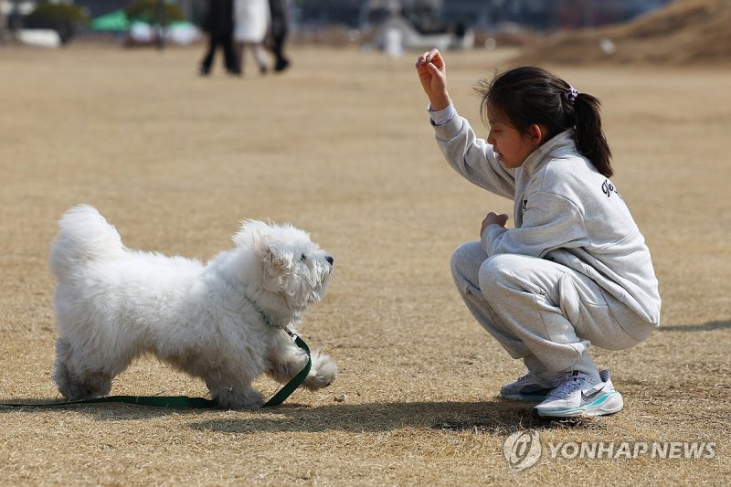 '오늘은 세계 강아지의 날'...강아지랑 뛰노는 우리 아이 '이것' 높아진다