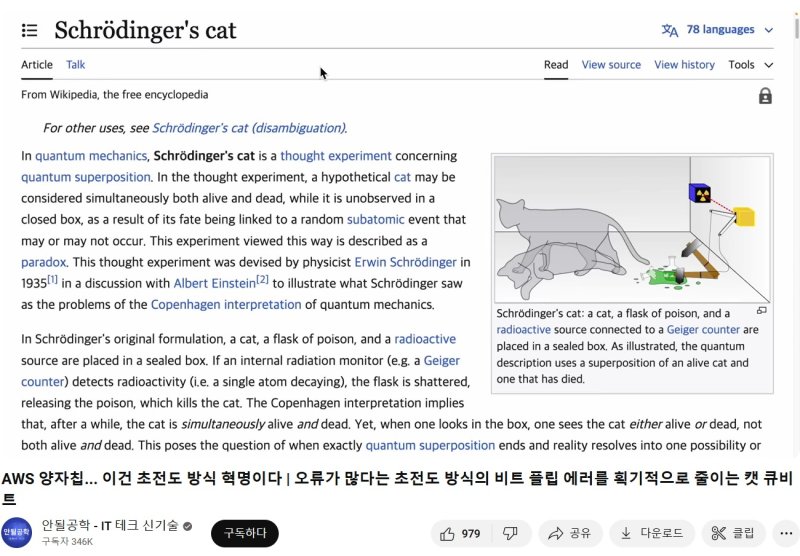 공학 유튜버 안될공학은 고양이 큐비트 원리를 비교적 쉽게 설명하려고 시도했다.(유튜브 영상 갈무리)