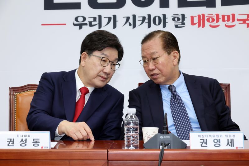 [영상] 권영세 “이재명 국어 능력 심각한 문제...”