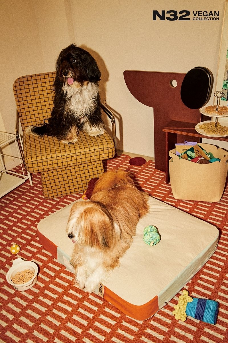 '노견도 꿀잠' 프리미엄 반려견 매트리스 써보니[후기자들]