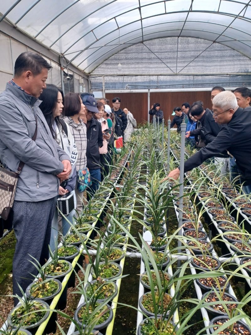 '한국난 산업화'를 추진하고 있는 전남 화순군의 현장견학팀이 중국의 난 선진지인 난징현의 한 난실을 찾아 설명을 듣고 있다.