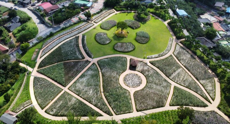 장성군에서 광복 80주년 기념 무궁화 대축제 열린다