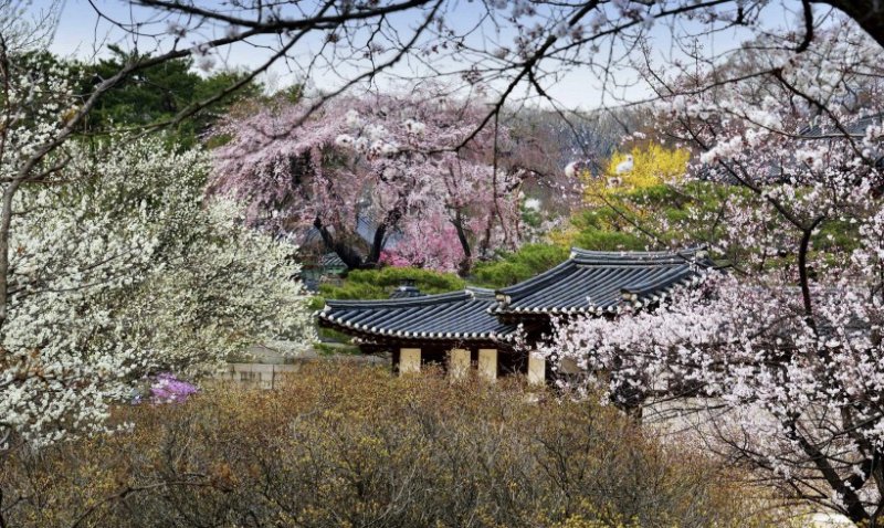 "봄날 달빛 궁궐 나들이 어떠세요"..달빛기행'·'별빛야행' 내달 시작