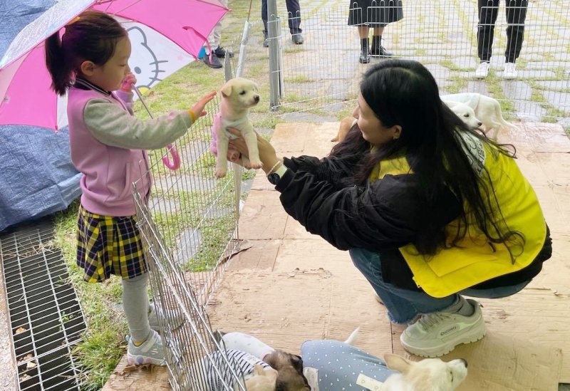 [정읍=뉴시스] 정읍시동물보호소를 찾은 유실·유기 동물 입양가족의 한 어린이가 강아지를 만져보고 있다. *재판매 및 DB 금지