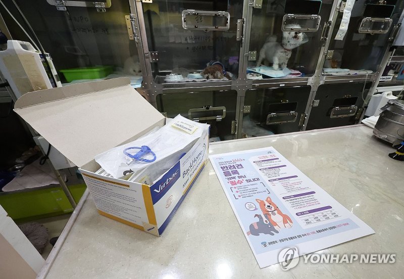 '반려견 등록, 선택 아닌 필수입니다' (출처=연합뉴스)