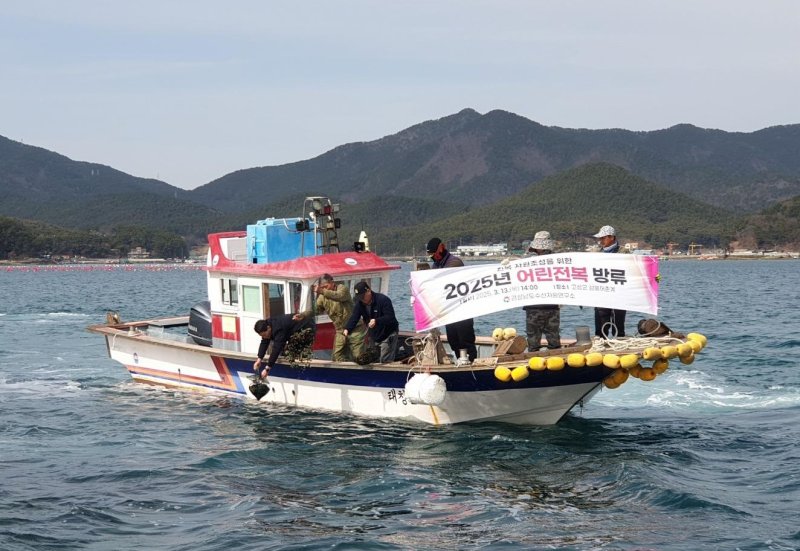 [고성=뉴시스]지난 13일 오후 경남도수산자원연구소와 고성군 삼봉어촌계 관계자들이 어린전복을 방류하고 있다.(사진=경남도 제공) 2025.03.14. photo@newsis.com