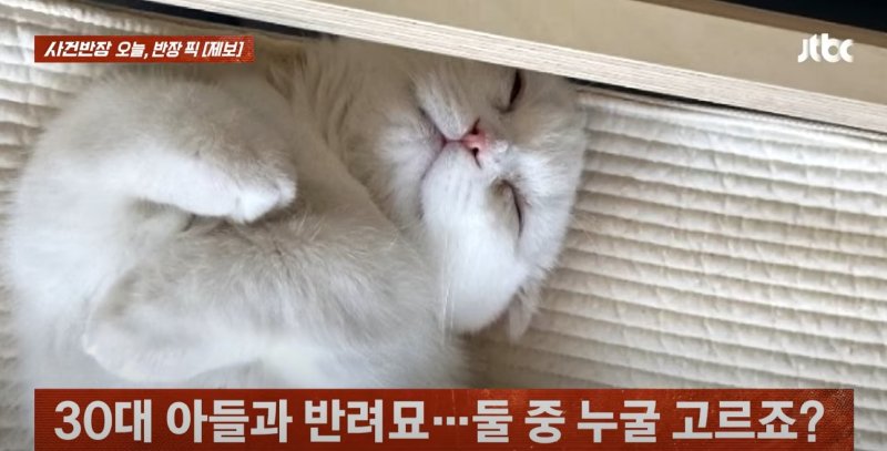 [서울=뉴시스] (사진=JTBC '사건반장' 캡처)