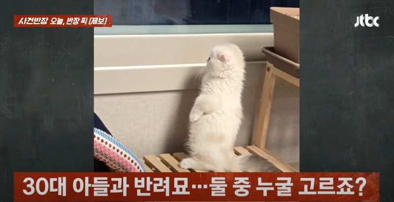 [서울=뉴시스] (사진=JTBC '사건반장' 캡처)