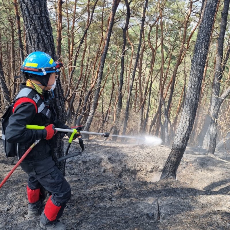 [아산=뉴시스] 14일 오후 3시45분께 충남 아산시 인주면 문방리 일원에서 발생한 산불이 28분만에 꺼졌다. 산불 진화 모습. (사진=산림청 제공) 2025.03.14. photo@newsis.com *재판매 및 DB 금지