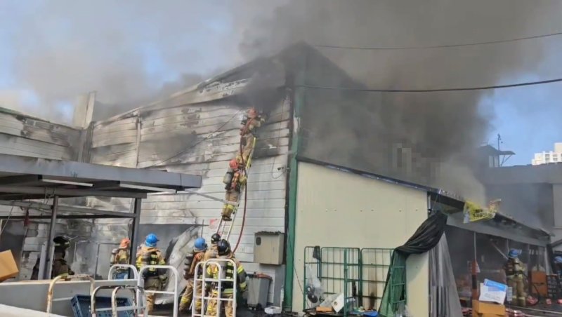 [부산=뉴시스] 권태완 기자 = 14일 오후 부산 금정구의 한 마트에서 화재가 발생해 소방 대원들이 진화 작업을 벌이고 있다. 부산소방재난본부는 주변 건물로 불이 번지는 것을 막기 위해 대응 1단계를 발령했다. (사진=부산소방재난본부 제공) 2025.03.14. photo@newsis.com *재판매 및 DB 금지