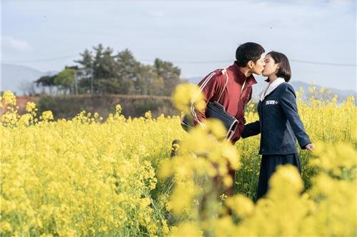 넷플릭스 드라마 '폭싹 속았수다'의 한 장면 (출처=연합뉴스)