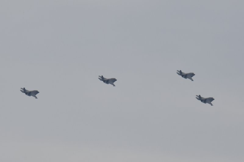 F-35B 스텔스 전투기 편대. 2024.9.2/뉴스1 ⓒ News1 최창호 기자