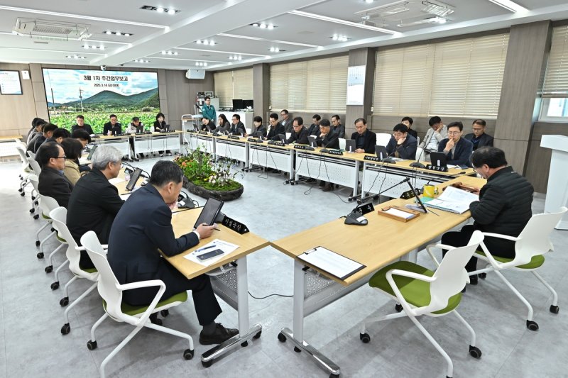 정선군 상반기 재정 신속 집행 보고회 (출처=연합뉴스)