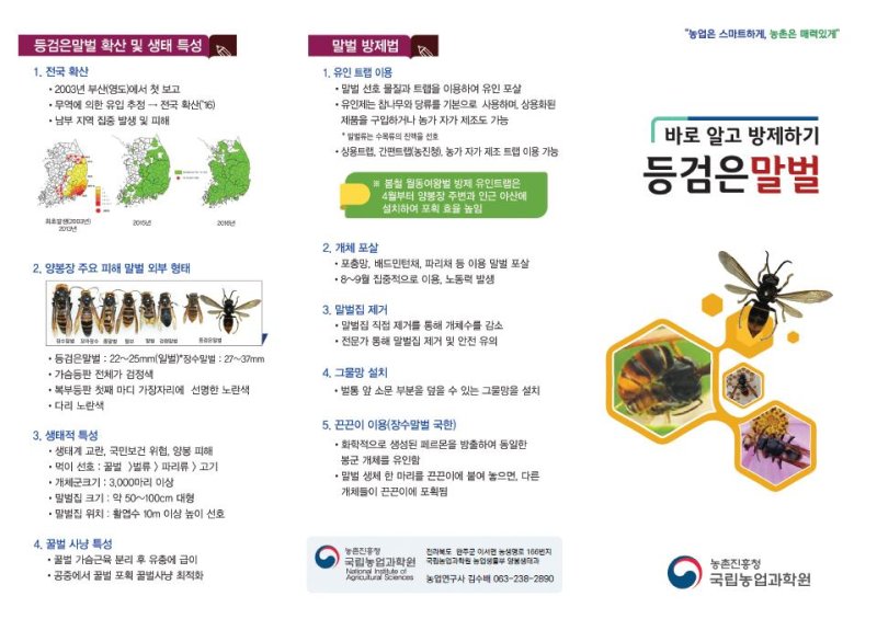 농촌진흥청은 봄철에 활동하는 등검은말벌로 인한 꿀벌 피해를 줄이기 위해 방제에 힘써달라고 16일 밝혔다. (사진 = 농진청 제공) 2025.03.15. *재판매 및 DB 금지