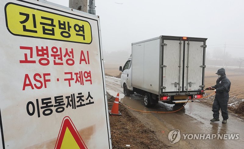 고병원성 AI 방역 (출처=연합뉴스)