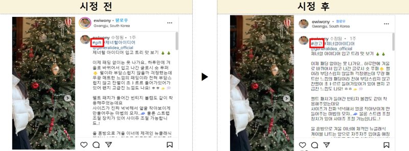 [세종=뉴시스]공정거래위원회는 지난해 인스타그램, 네이버블로그, 유튜브 등 주요 사회관계망서비스(SNS)에서 후기 형태로 제작된 게시물 중 뒷광고로 의심되는 사례 2만6000여건을 적발해 시정조치를 완료했다.(사진=공정위 자료 캡쳐)