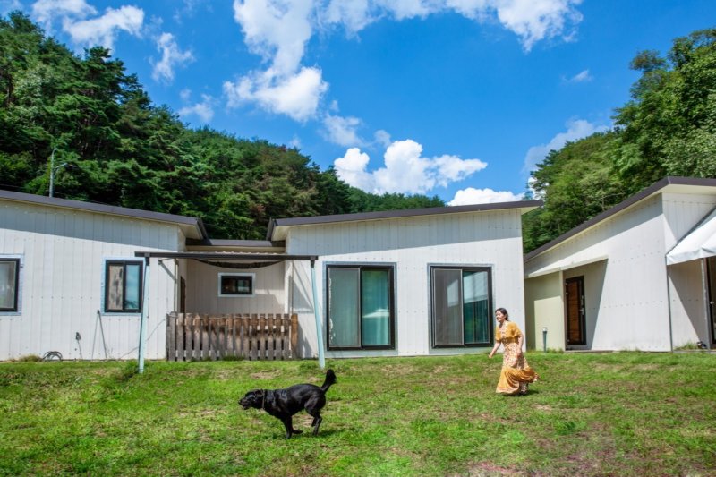 경북 봉화군 '페텔' *재판매 및 DB 금지