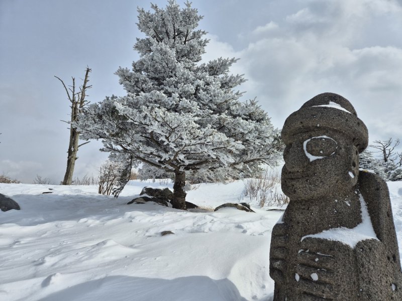 강원 산지와 동해안에 많은 눈이 내린 17일 오후 평창군 발왕산 모나 용평 리조트에서 발왕산 케이블카 정상부에서 나들이객들이 설경을 즐기고 있다. 2025.3.17/뉴스1 ⓒ News1 윤왕근 기자