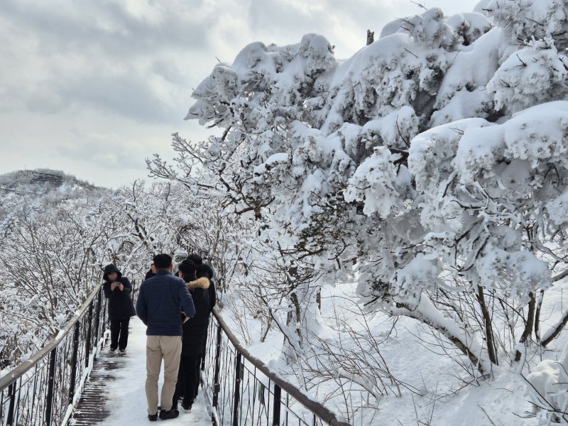 강원 산지와 동해안에 많은 눈이 내린 17일 오후 평창군 발왕산 모나 용평 리조트에서 발왕산 케이블카 정상부에서 나들이객들이 설경을 즐기고 있다. 2025.3.17/뉴스1 ⓒ News1 윤왕근 기자