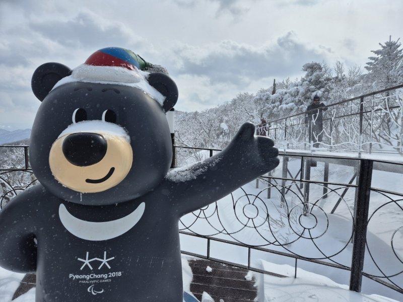 강원 산지와 동해안에 많은 눈이 내린 17일 오후 평창군 발왕산 일대가 설국으로 변해 있다. 2025.3.17/뉴스1 ⓒ News1 윤왕근 기자