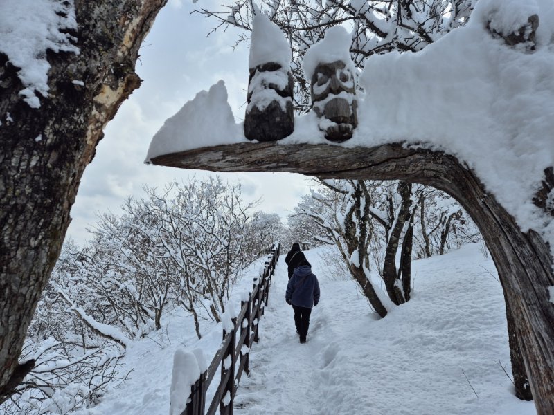 강원 산지와 동해안에 많은 눈이 내린 17일 오후 평창군 발왕산 모나 용평 리조트에서 발왕산 케이블카 정상부에서 나들이객들이 설경을 즐기고 있다. 2025.3.17/뉴스1 ⓒ News1 윤왕근 기자