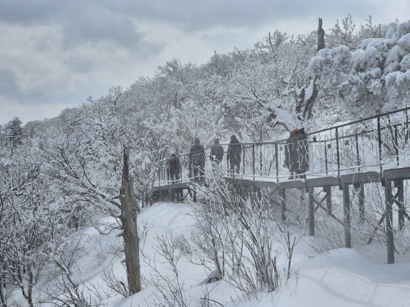 강원 산지와 동해안에 많은 눈이 내린 17일 오후 평창군 발왕산 모나 용평 리조트에서 발왕산 케이블카 정상부에서 나들이객들이 설경을 즐기고 있다. 2025.3.17/뉴스1 ⓒ News1 윤왕근 기자