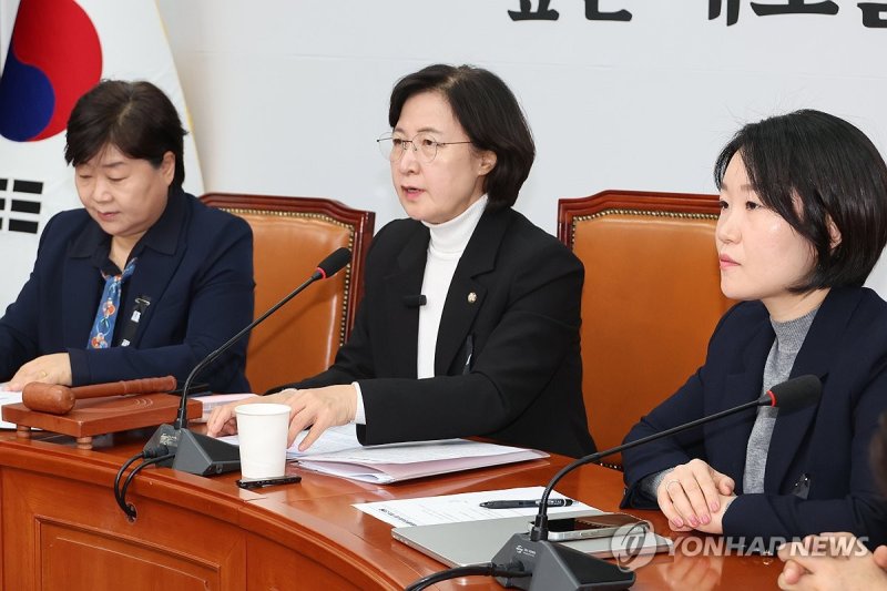 민주당 내란진상조사단 회의 (출처=연합뉴스)