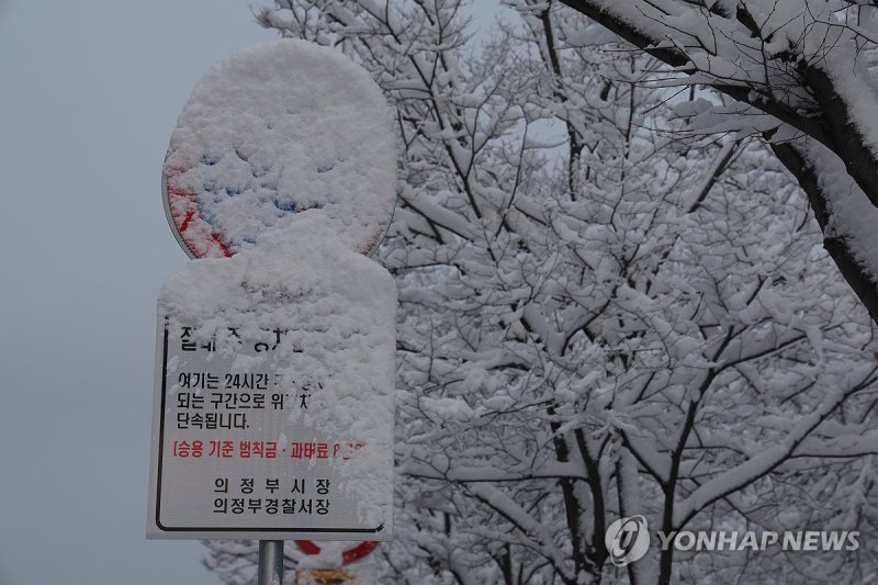 3월의 폭설 (출처=연합뉴스)