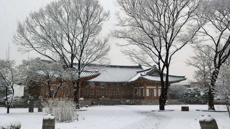 18일 서울 영등포구 국회 경내에 눈이 내리고 있다. 사진=서동일 기자
