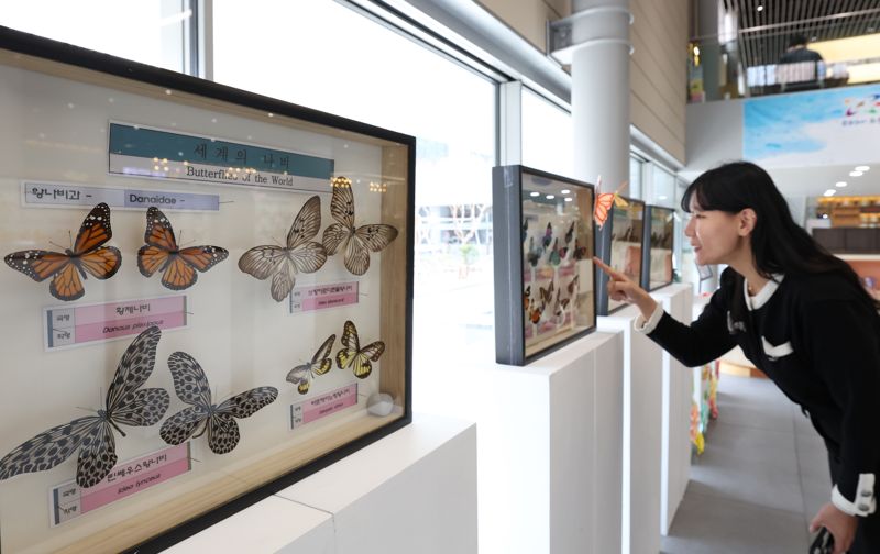 노원구, 산책길·구청 발길 닿는 곳곳마다 온 갤러리로
