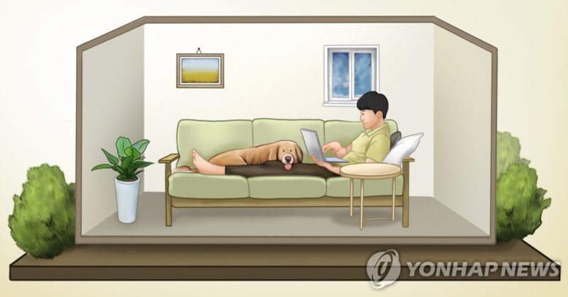 1인 가구 (PG) (출처=연합뉴스)