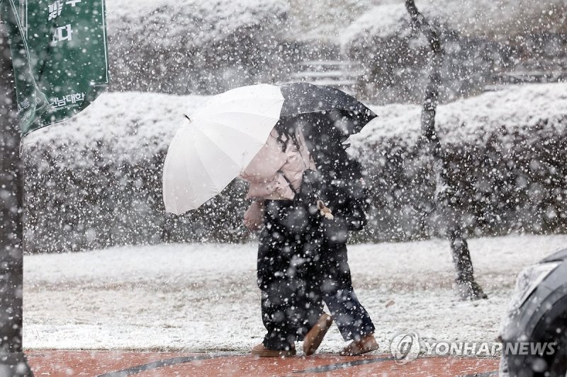 우산으로 막는 춘삼월 눈보라 (출처=연합뉴스)