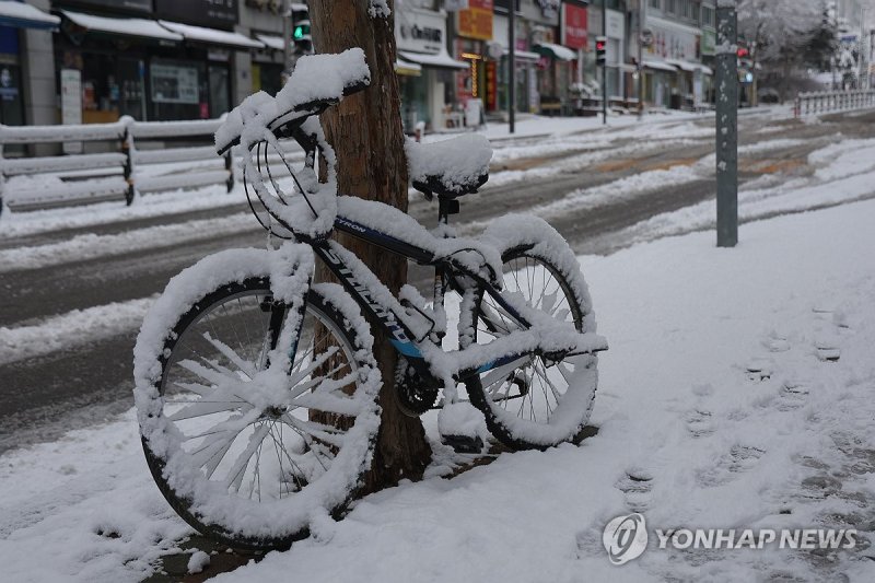 3월의 폭설 (출처=연합뉴스)